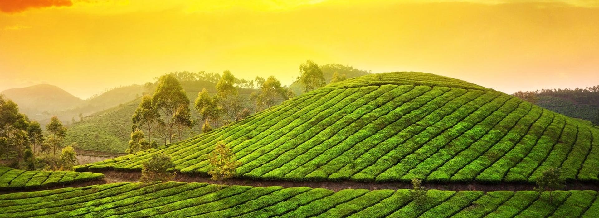 Scenic Kerala Tour Package