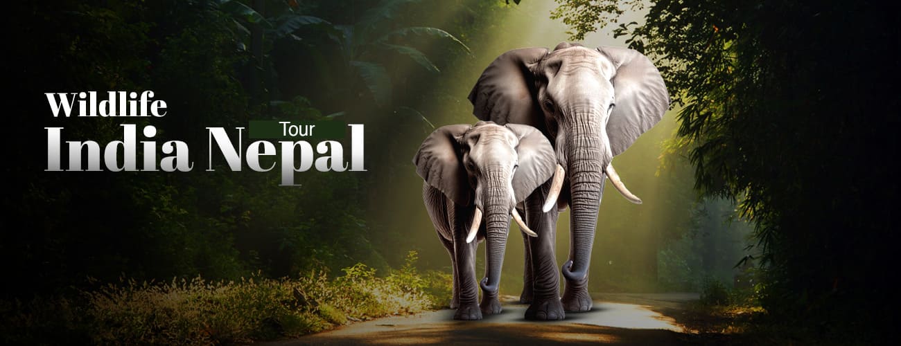 Wildlife Tour India Nepal