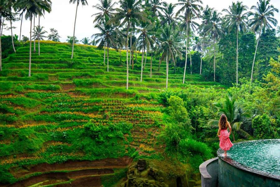 Best of Kerala Tour Packages