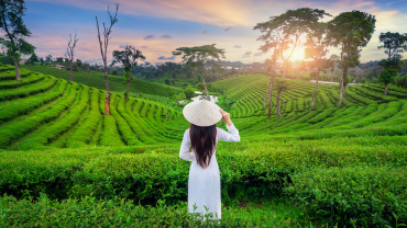 Explore Some Best Place to Visit Kerala in December For New Year