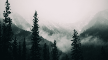 10 Best Places to Visit in Shimla in 2023