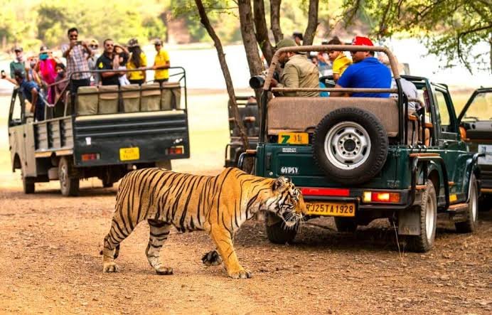 Ranthambore National Park