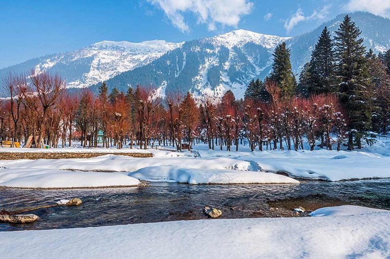 india in december